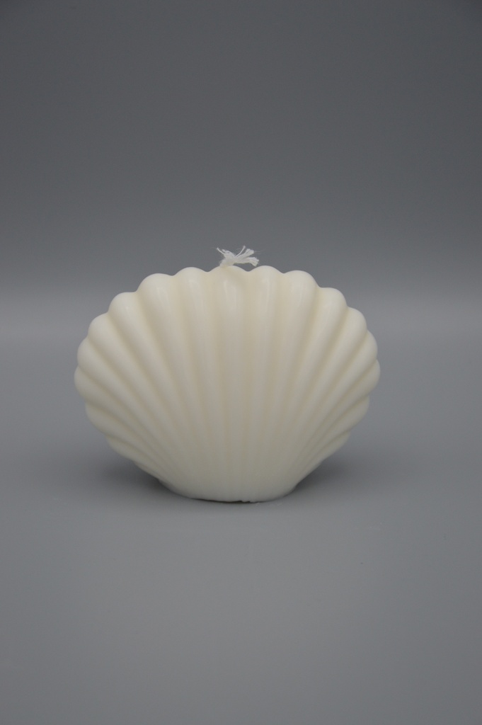 Coquillage