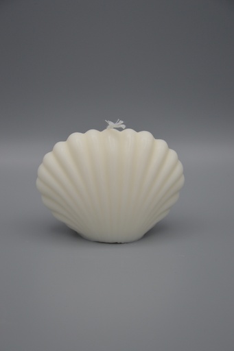 Coquillage
